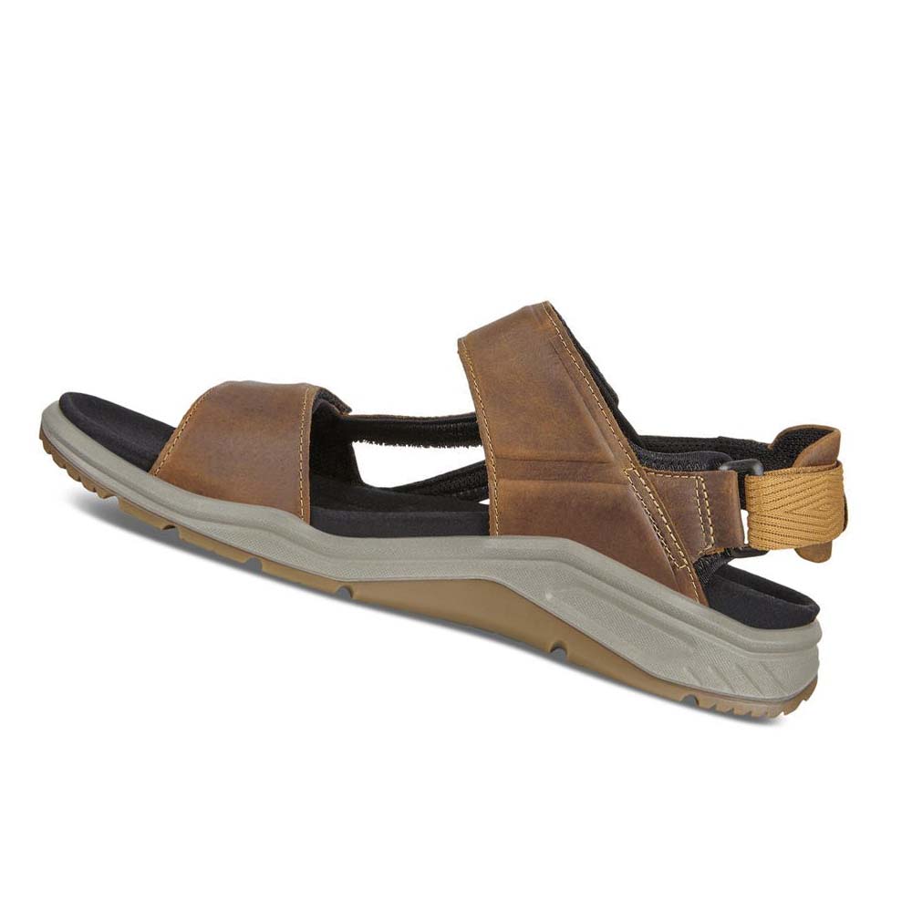 Men's Ecco X-trinsic Flat Sandals Brown | Canada 592LIS